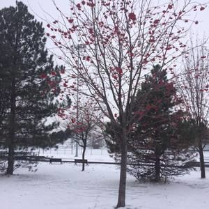 Meet your Posher, Emna